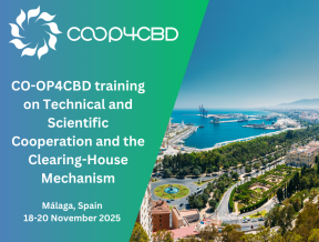 Featured image for Save the date: CO-OP4CBD training and networking session on Technical and Scientific Cooperation and the Clearing-House Mechanism in the context of the UN CBD