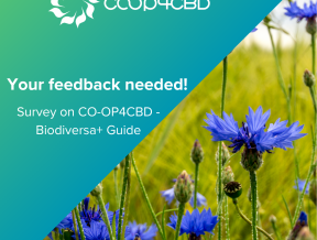 Featured image for Preview of the CO-OP4CBD - Biodiversa+ Guide to UN CBD Processes Now Available - Your Feedback Needed!
