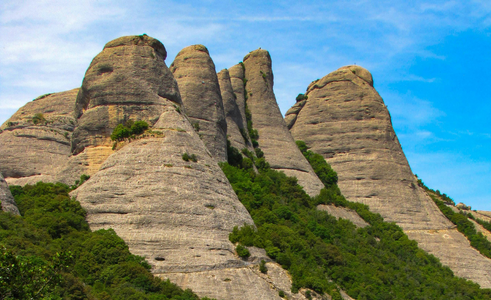 Training and Networking Session on Technical and Scientific Cooperation and the Clearing-House Mechanism in the Context of the UN CBD