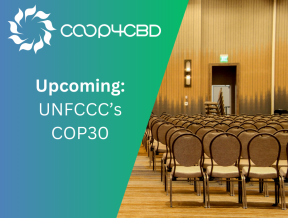 Featured image for Upcoming: UNFCCC’s COP30