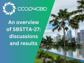 Featured image for An overview of SBSTTA-27: discussions and results
