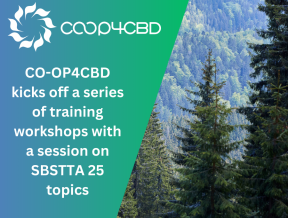Featured image for CO-OP4CBD kicks off a series of training workshops with a session on SBSTTA 25 topics