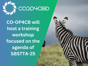 Featured image for CO-OP4CB will host a training workshop focused on the agenda of SBSTTA-25
