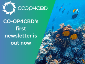 Featured image for CO-OP4CBD's first newsletter is out now