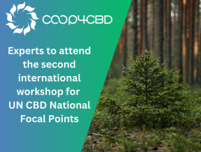 Featured image for Experts to attend the second international workshop for UN CBD National Focal Points