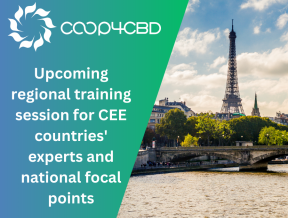 Featured image for Save the date: Upcoming regional training session for CEE countries' experts and national focal points to take place on 18-19 March