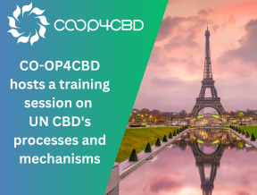 Featured image for CO-OP4CBD hosts a Central and Eastern European countries regional training session on UN CBD's processes and mechanisms in Paris