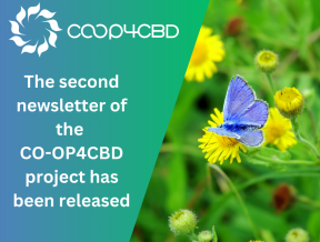 Featured image for The second newsletter of the CO-OP4CBD project has been released