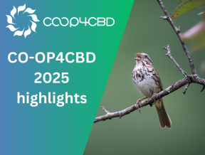 Featured image for CO-OP4CBD highlights of 2025