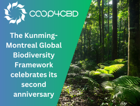 Featured image for The Kunming-Montreal Global Biodiversity Framework celebrates its second anniversary