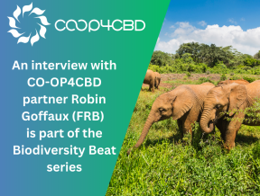 Featured image for Biodiversity Beat: How CO-OP4CBD Makes a Difference in Overcoming the Challenges of Expert Involvement in CBD Processes