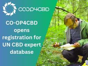 Featured image for CO-OP4CBD launches registration for a UN CBD expert database