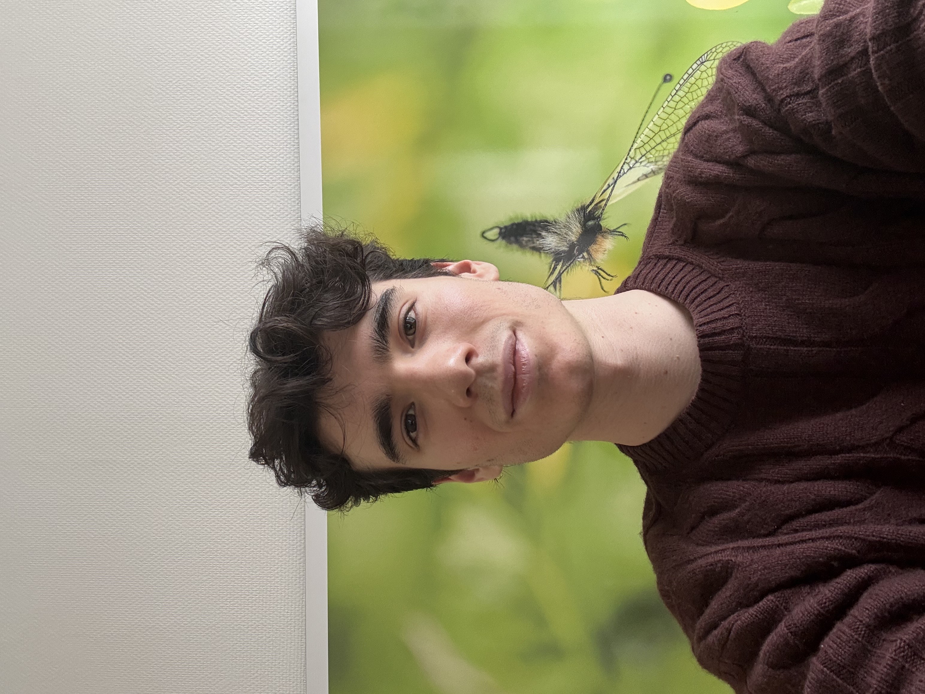 Photo of Baptiste Albisson