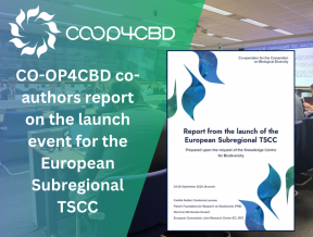 Featured image for CO-OP4CBD partners co-author new report on the launch of the European Subregional TSCC