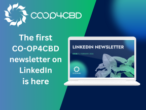 Featured image for The first CO-OP4CBD LinkedIn newsletter is here!