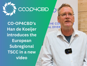 Featured image for CO-OP4CBD’s Han de Koeijer introduces the European Subregional TSCC in a new video