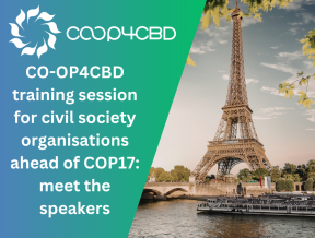 Featured image for CO-OP4CBD training session for civil society organisations ahead of COP17: meet the speakers