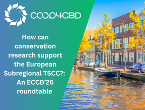 Featured image for How can conservation research support the European Subregional TSCC?: An ECCB’26 roundtable