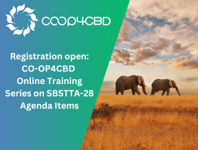 Featured image for Registration Open: CO-OP4CBD Online Training Series on SBSTTA-28 Agenda Items