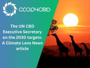 Featured image for The UN CBD Executive Secretary on the 2030 targets: A Climate Lens News article