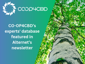 Featured image for CO-OP4CBD’s experts' database featured in Alternet’s newsletter