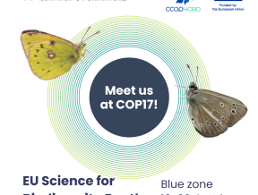 Featured image for EU Science for Biodiversity at COP17: five European initiatives join forces in Yerevan