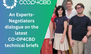 Featured image for An Experts-Negotiators dialogue on the latest CO-OP4CBD technical briefs