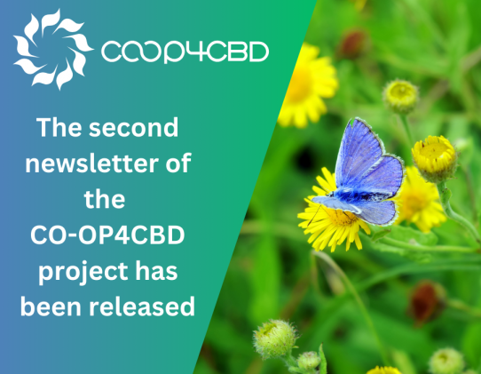 Featured image for The second newsletter of the CO-OP4CBD project has been released