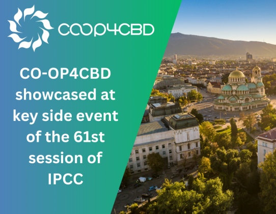 Featured image for CO-OP4CBD Showcased at Key Side Event of the 61st Session of IPCC