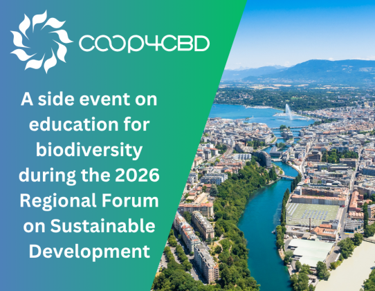 Featured image for A side event on education for biodiversity during the 2026 Regional Forum on Sustainable Development