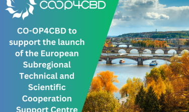 Featured image for CO-OP4CBD to support the launch of the European Subregional Technical and Scientific Cooperation Support Centre