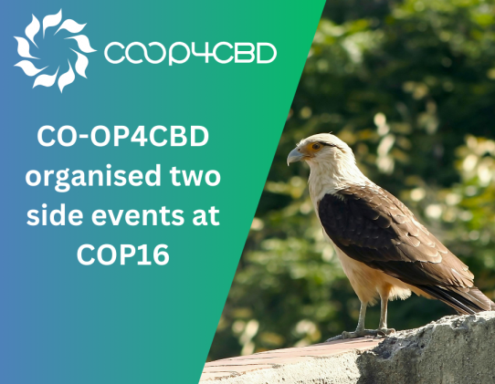 Featured image for CO-OP4CBD Organised Two Side Events at CBD's COP16 Together with Three Other Key SPI Initiatives