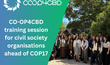 Featured image for CO-OP4CBD training session for civil society organisations ahead of COP17