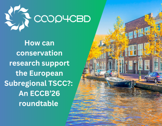 Featured image for How can conservation research support the European Subregional TSCC?: An ECCB’26 roundtable