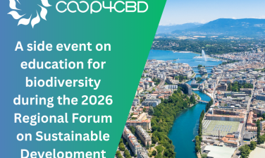 Featured image for A side event on education for biodiversity during the 2026 Regional Forum on Sustainable Development
