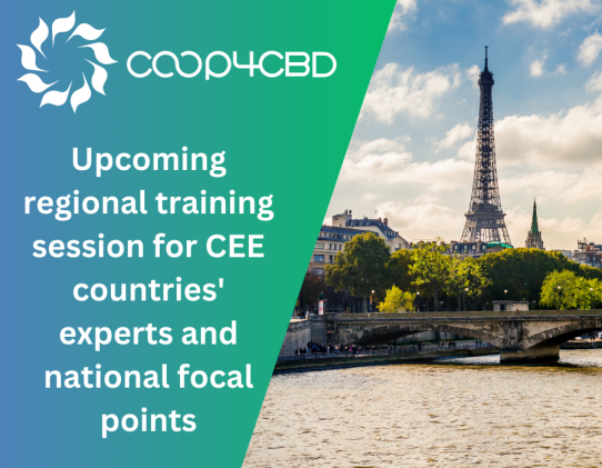Featured image for Save the date: Upcoming regional training session for CEE countries' experts and national focal points to take place on 18-19 March