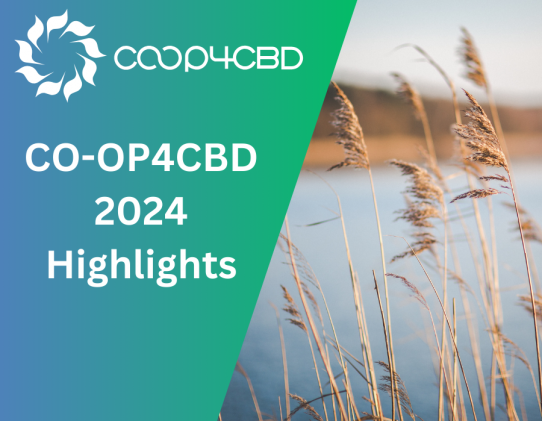 Featured image for CO-OP4CBD looks back on a year of achievements in 2024 highlight video