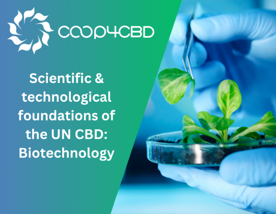 Featured image for Scientific and Technological Foundations of the UN CBD: Biotechnology