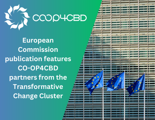 Featured image for CO-OP4CBD partners from the Transformative Change Cluster featured in European Commission publication