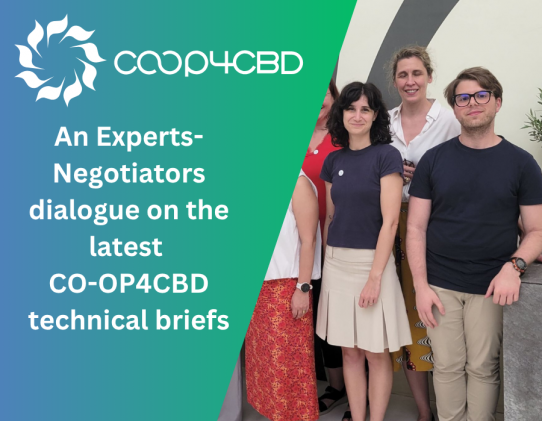 Featured image for An Experts-Negotiators dialogue on the latest CO-OP4CBD technical briefs