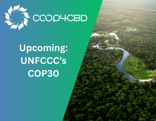 Featured image for Upcoming: UNFCCC’s COP30
