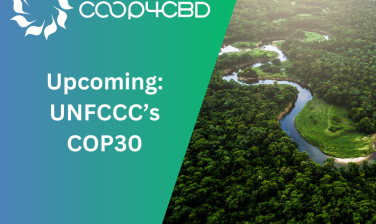 Featured image for Upcoming: UNFCCC’s COP30