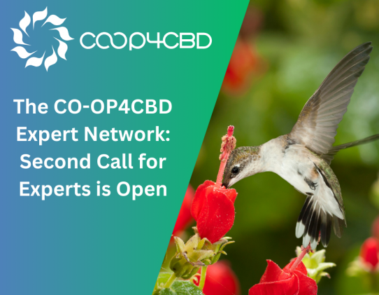 Featured image for The CO-OP4CBD Expert Network: Second Call for Experts is Open