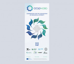 Roll-up banner preview image