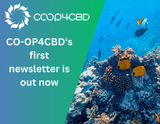 Featured image for CO-OP4CBD's first newsletter is out now
