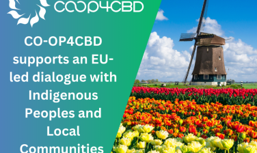 Featured image for CO-OP4CBD supports dialogue with Indigenous Peoples and Local Communities