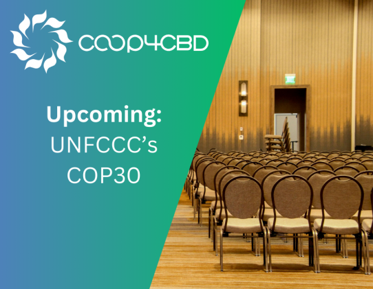 Featured image for Upcoming: UNFCCC’s COP30