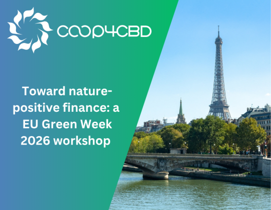 Featured image for Toward nature-positive finance: a EU Green Week 2026 workshop