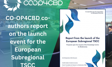 Featured image for CO-OP4CBD partners co-author new report on the launch of the European Subregional TSCC