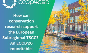 Featured image for How can conservation research support the European Subregional TSCC?: An ECCB’26 roundtable